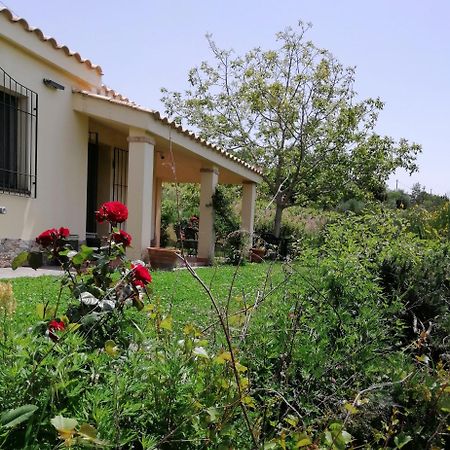 S'Orrosa Casa Vacanze Bifamiliare In Montagna Panorama Stupendo Sardegna Seùlo Exterior foto