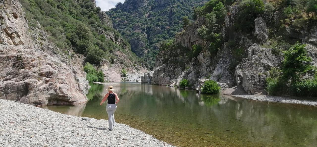 S'Orrosa Casa Vacanze Bifamiliare In Montagna Panorama Stupendo Sardegna Seùlo Exterior foto