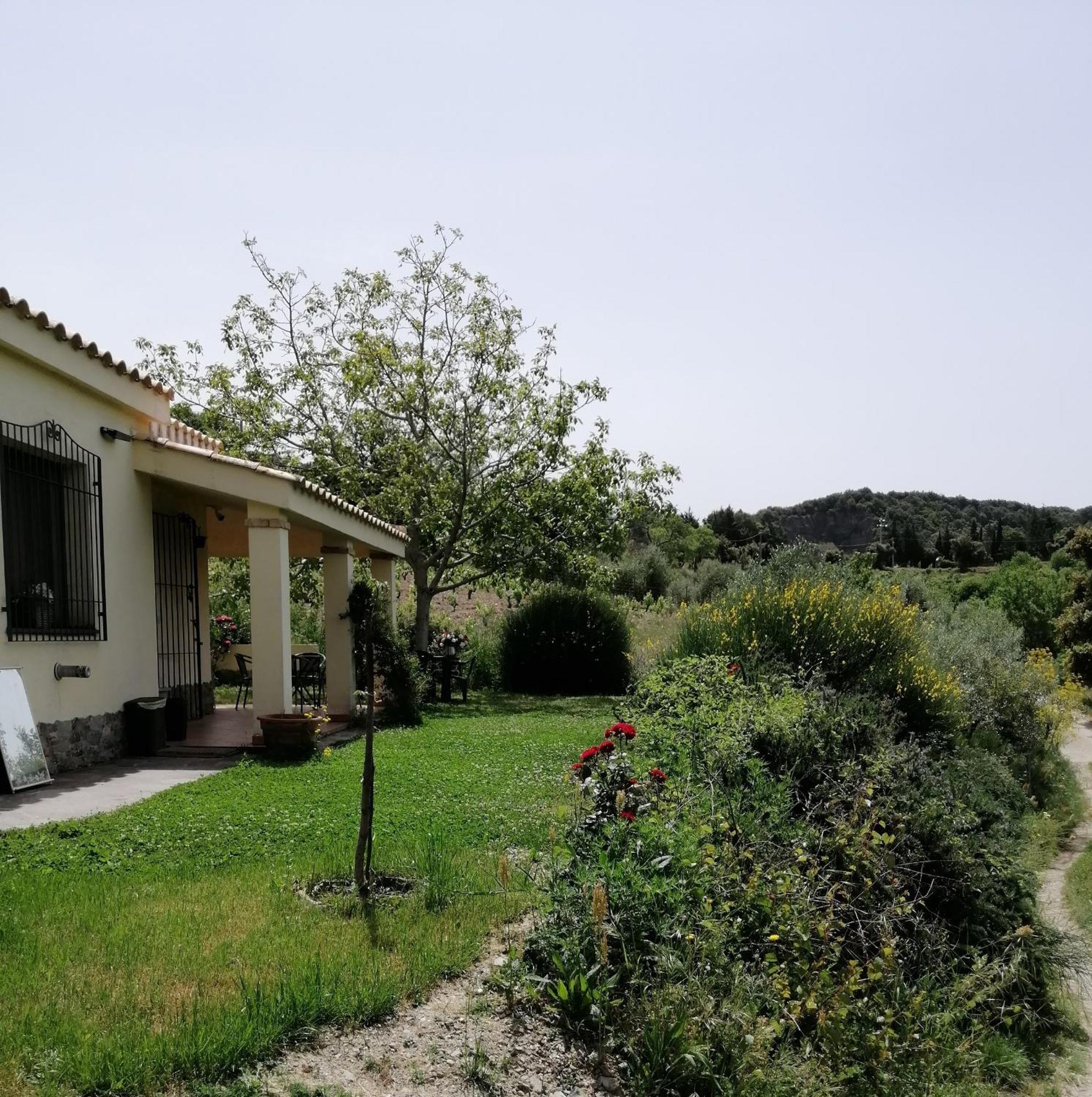 S'Orrosa Casa Vacanze Bifamiliare In Montagna Panorama Stupendo Sardegna Seùlo Exterior foto