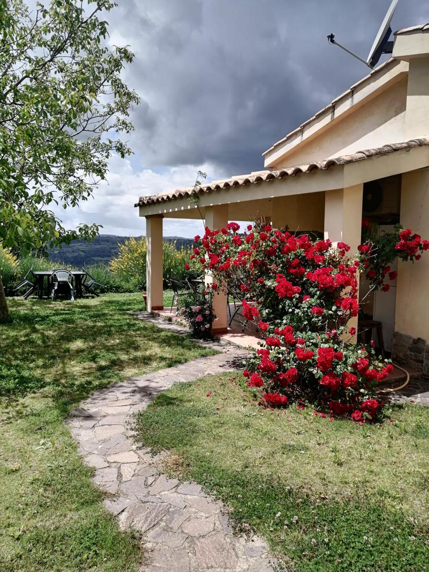 S'Orrosa Casa Vacanze Bifamiliare In Montagna Panorama Stupendo Sardegna Seùlo Exterior foto