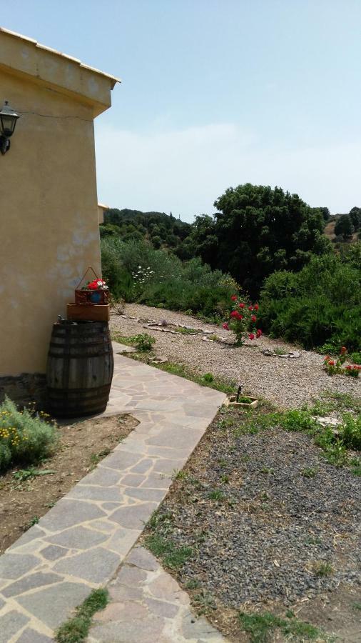 S'Orrosa Casa Vacanze Bifamiliare In Montagna Panorama Stupendo Sardegna Seùlo Exterior foto