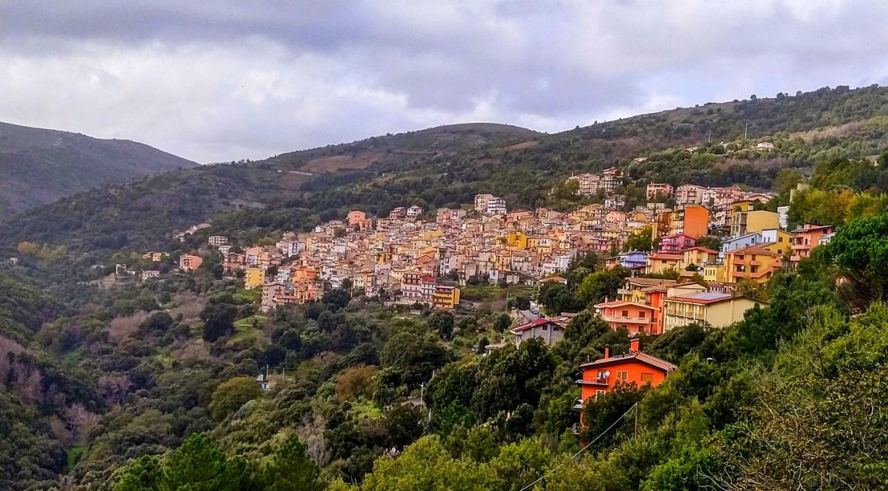 S'Orrosa Casa Vacanze Bifamiliare In Montagna Panorama Stupendo Sardegna Seùlo Exterior foto